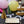 Load image into Gallery viewer, "Celebrate" Disposable Plates (7.5" x 5.5", 50-Pack)