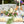 Load image into Gallery viewer, "Happily Ever After" Disposable Plates (7.5" x 5.5", 50-Pack)