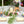 Load image into Gallery viewer, "Mr. and Mrs." Disposable Plates (5.5" x 5.5", 50-Pack)