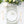 Load image into Gallery viewer, "Celebrate" Disposable Forks (6", 100-Pack)