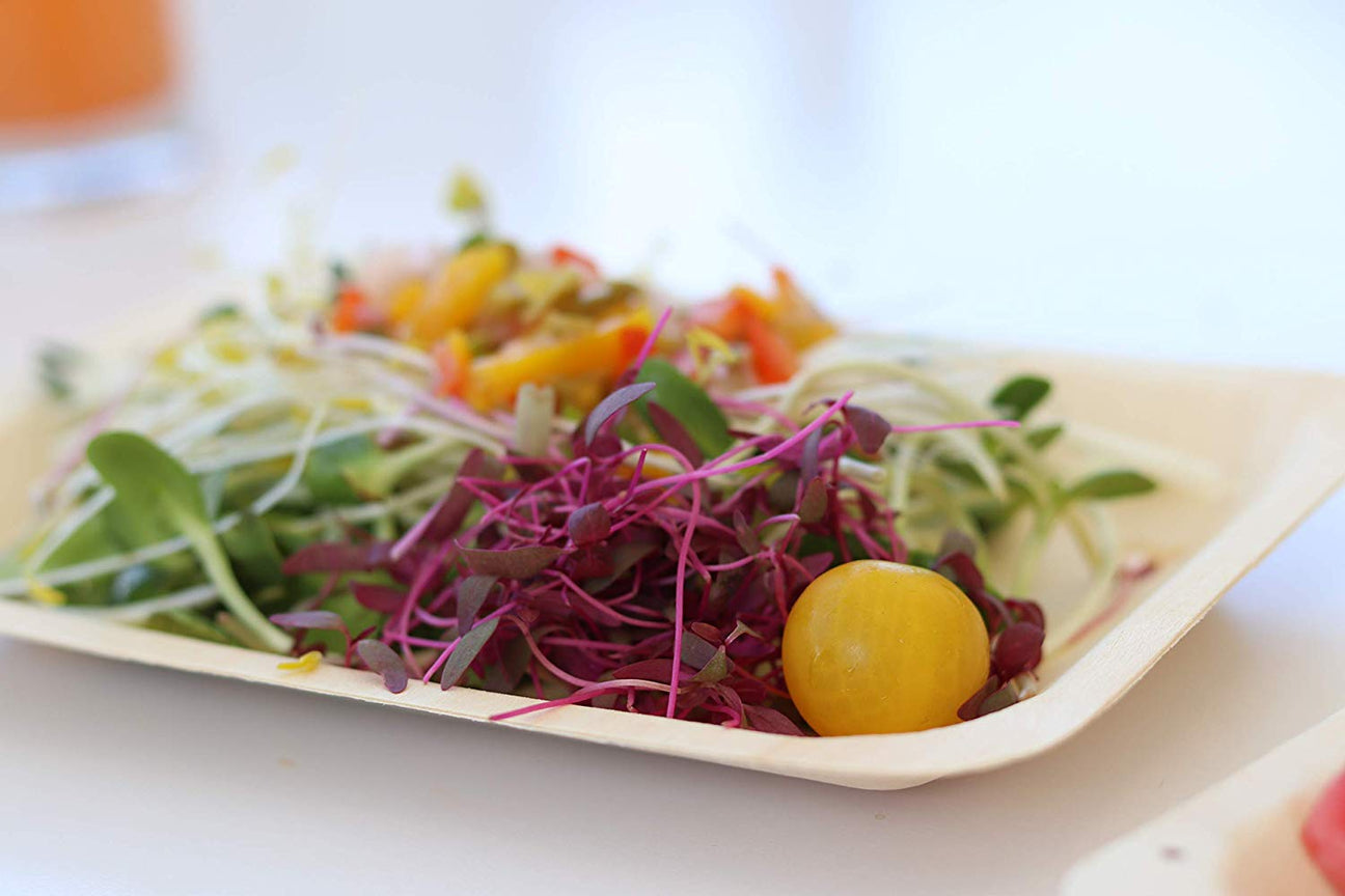 Wood & Wonder Rustic disposable plates that make good events great